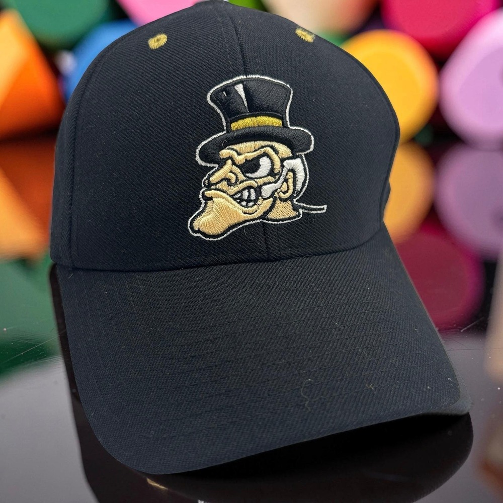 Vintage Twins Enterprise Wake Forest Demon Deacons Hat Mens 7 1/4  Wool Hat
